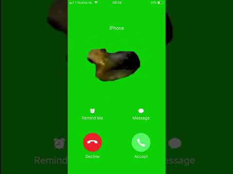 نغمة ايفون Oia القطة الجميلة IPhone