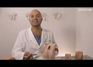  Where Can You Inject PRP