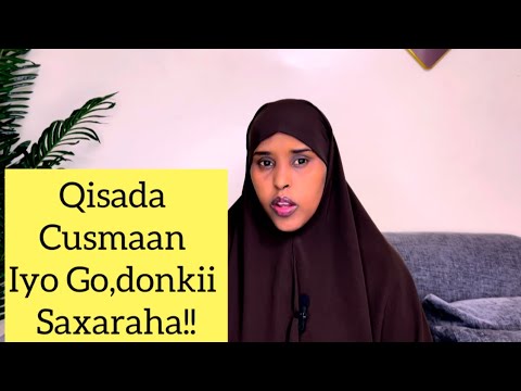 GO DONKII SAXARAHA Sawdamqaalib