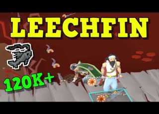 New BEST Fishing Method In Old School Runescape Leechfin Fishing Guide OSRS