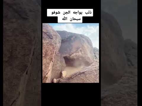 مواجهة الجن مع الذيب