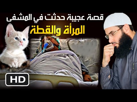 أمر عجيب حدث لامرأة في العناية المشددة بسبب قطة قطة رائعة ALMOUTAWAKEL
