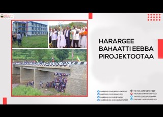  Harargee Bahaatti Eebba Pirojektootaa
