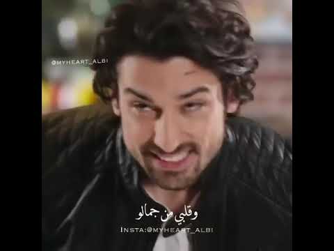 شيخ الشباب نانسي عجرم