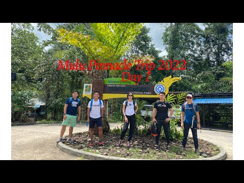 Mulu Pinnacle Trip 2022 Day 1 Mulu National Park Borneo Sarawaktourism Malaysiatourism