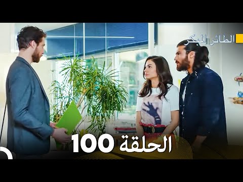 مسلسل الطائر المبكر الحلقة 100 Arabic Dubbed FULL HD مسلسل الطائر المبكر الحلقة 100 Arabic Dubbed FULL HD