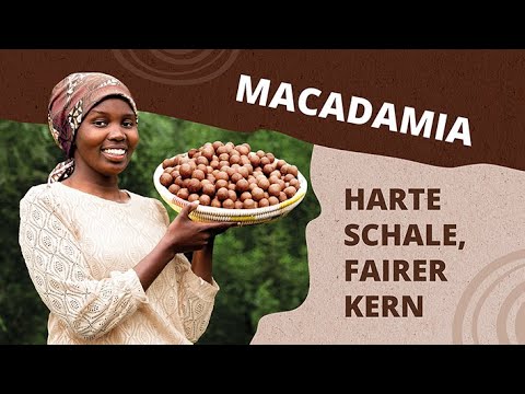 Der Weg Der Macadamia I Nachhaltig Und Fair