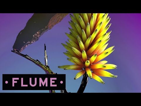 Flume Say It Feat Tove Lo