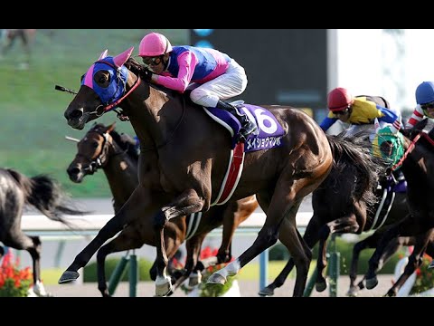 中央競馬 ファンファーレ Fanfare Japan Racing Association ザ ロイヤルファミリー 主題歌 Theme Of The Royal Family 中央競馬 ファンファーレ Fanfare Japan Racing Association ザ ロイヤルファミリー 主題歌 Theme Of The Royal Family