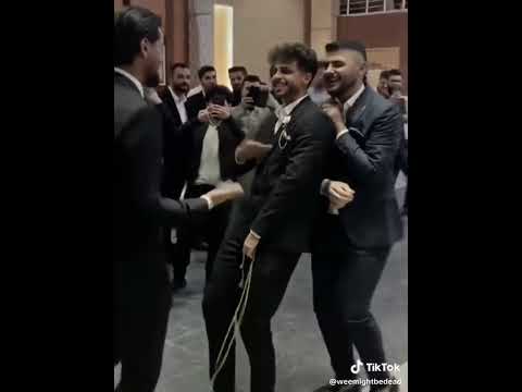 واني بهل كلب شلي