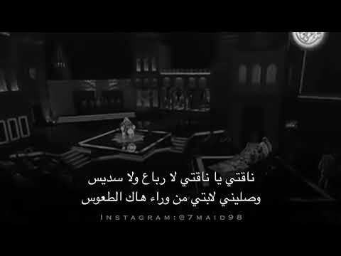 ناصر الفراعنة ناقتي يا ناقتي