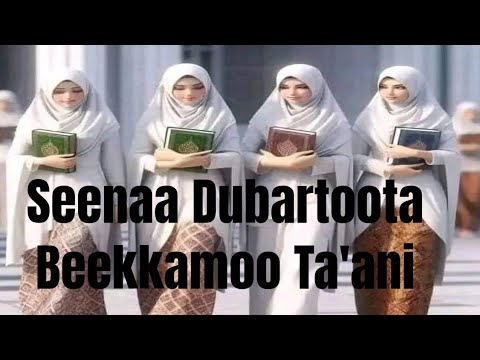 Seenaa Dubartoota Beekkamoo