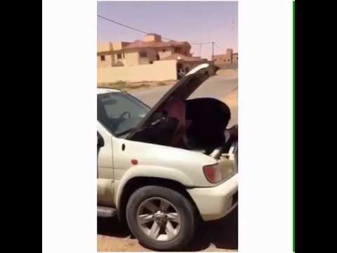 سم ياحمار ههههههههههه لم نستشهد بنروح الجنه مت سم ياحمار ههههههههههه لم نستشهد بنروح الجنه مت