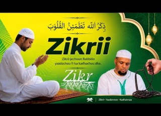 ذكرالله تطمئن القلوب Zikrii Du Ii Nashiidaa Harawa Sheikh Juneyid Sheikh Ahmad Zikri Jechuun Rabbiin