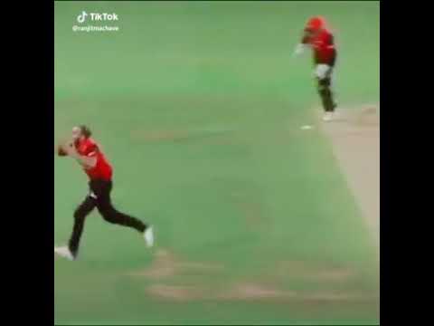 Jab Tahir Ki Yaad Ft Tiktok Pavillion As A Bowler Cricket In Vc Saddu Haider 92