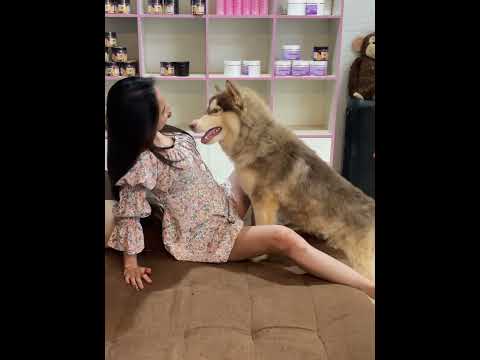 SUPER FUNNY TOTO STOP Letting TOTO Steal My Food