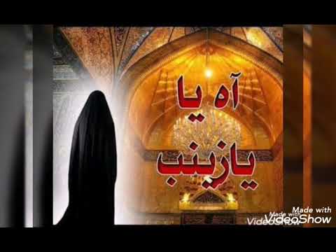 عمار الكناني ظلت بلا فاتحة السيدة زينب عليها السلام