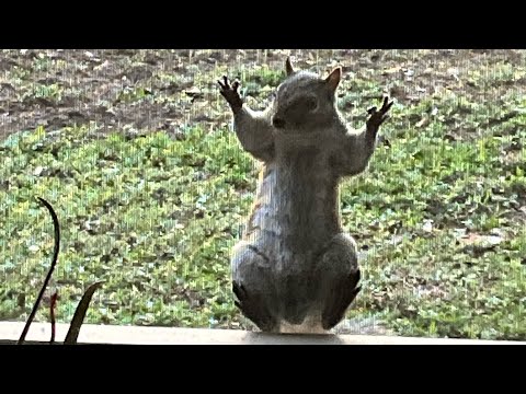 Here You Go Bee This Is What I Was Referring To