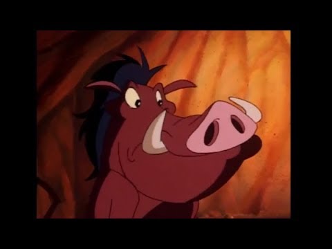 Around The World With Timon Pumbaa Part 3