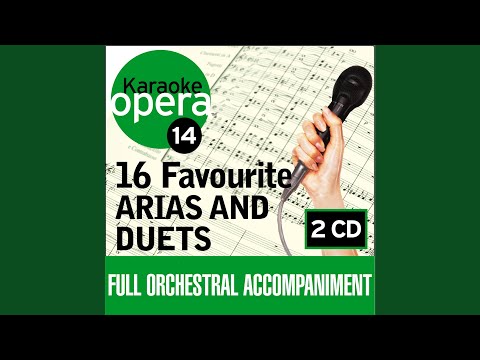 Barber Of Seville Largo Al Factotum No Vocals