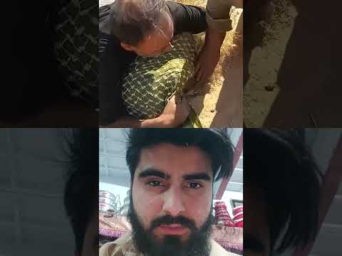 الل ه اکبر الل ه اکبر الل ه اکبر الل ه اکبر الل ه اکبر Duet قرآن Reaction Trending الل ه اکبر الل ه اکبر الل ه اکبر الل ه اکبر الل ه اکبر Duet قرآن Reaction Trending