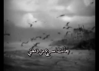 ليلة وداعك ثواني بسرعة مرت ستوري حزين باسم الكربلائي