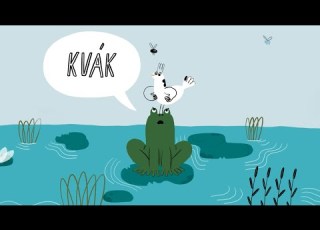  Pokáč Žába A Pták