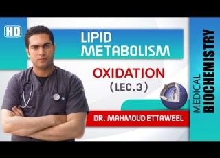 Lipid Met Lec 3 Fatty Acid Oxidation
