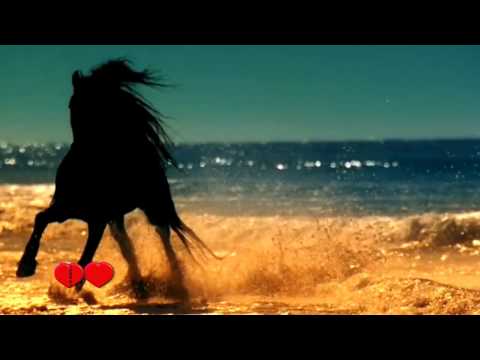 نزار قباني عيناك كنهري احزاني HD