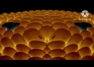  Samsung Logo Balls G Major 96