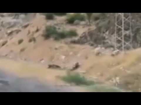 كمين نصبه الإرهابيين للجيش الجزائري بواد جر عين الدفلة