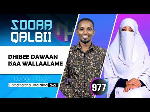 RNH 977 October 20 2025 Soora Qalbii