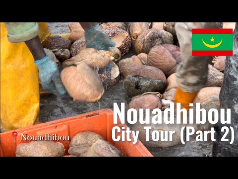 مدينة نواذيبو التي لم تشاهدها من قبل الجزء الثاني اكتشاف ثاني أكبر مدينة موريتانية مدينة نواذيبو التي لم تشاهدها من قبل الجزء الثاني اكتشاف ثاني أكبر مدينة موريتانية