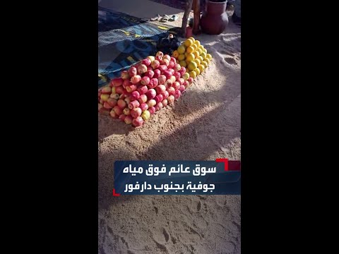 في مشهد لافت سوق شعبي عائم فوق بحيرة مياه جوفية بمنطقة جميزا بولاية جنوب دارفور في مشهد لافت سوق شعبي عائم فوق بحيرة مياه جوفية بمنطقة جميزا بولاية جنوب دارفور