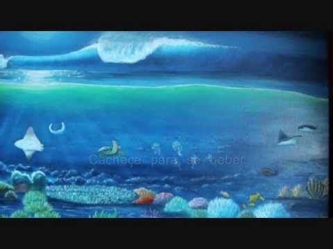 Luiz Melodía Mistério Da Raça