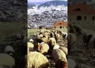 A Lebanese Village