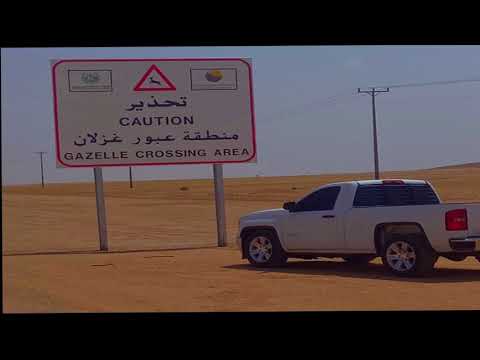 عزازي ي قايد الريم وشحالك