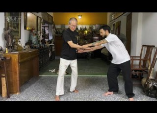  Yan Shou Gong Sets 7 12 2nd Online Course With Master Yap Boh Heong