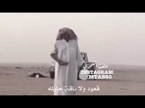 محمد المقحم ابو فلاح بجركله شايله