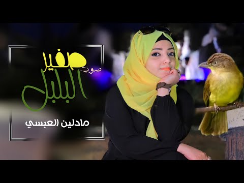 صوت صفير البلبل مادلين العبسي