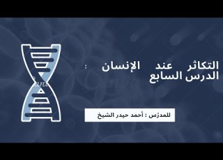  علوم حديث الدرس السابع منشأ جهاز التكاثر عند الإنسان للمدر س أحمد حيدر الشيخ
