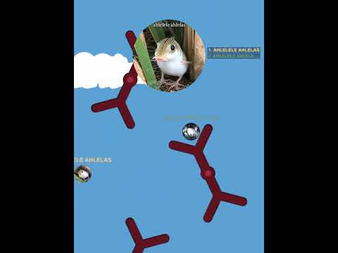 AHLELELE AHLELAS FUNK