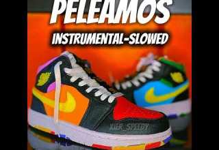 Elaggume Fauna Music Vainy PELEAMOS INSTRUMENTAL SLOWED