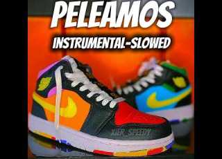 Elaggume Fauna Music Vainy PELEAMOS INSTRUMENTAL SLOWED