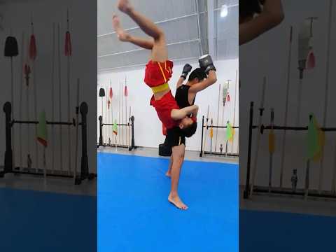 Wushu Sanda Is A Chinese Combat Martial Art That Combines Kicking Punching And Throwing Techniques