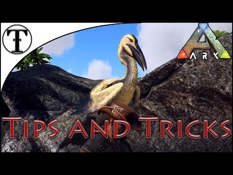 Fast Ichthyornis Taming Guide Ark Survival Evolved Tips And Tricks