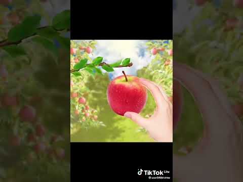 من أجمل ما رأت عيني