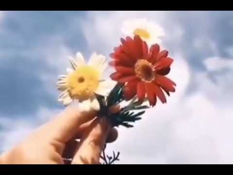 يارب تزيد خيرك وتعيد فيروز اجمل اغاني فيروز فيروزيات الصباح فيروزالصباح