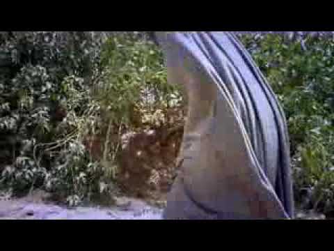 MODIBBO SANI FULL FILM