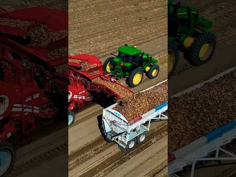 Meet The New 6844 Potato Harvester Built For Every Soil Condition Designed To Keep Your Harvest Run